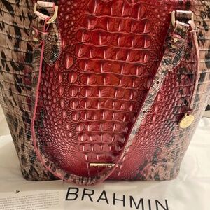 Brahmin Ellen in Ruby Prowl Ombre